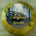 Energisnus Björnbär
