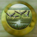 Energisnus Tranbär – myr & våtmark